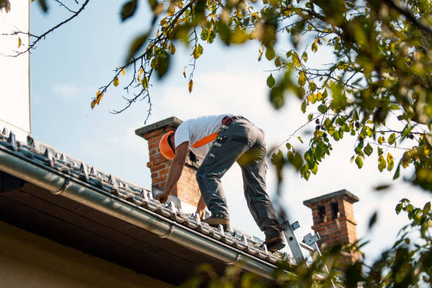 Best Roof Leak Repair  in Mount Olive, MS