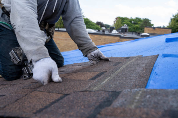 Best Storm Damage Roof Repair  in Mount Olive, MS