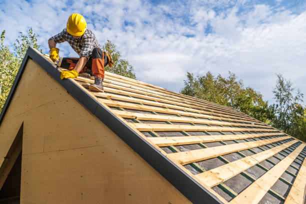 Best Roof Maintenance Services  in Mount Olive, MS