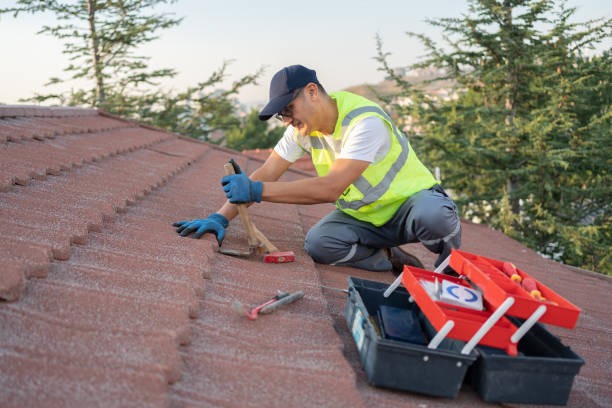 Best Roof Maintenance Services  in Mount Olive, MS