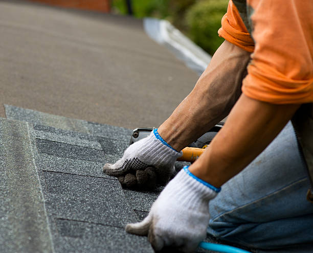 Best Commercial Roofing Services  in Mount Olive, MS