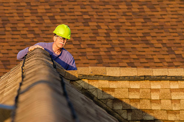 Best Shingle Roofing Installation  in Mount Olive, MS