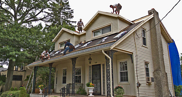 Professional Roofing Contractor in Mount Olive, MS