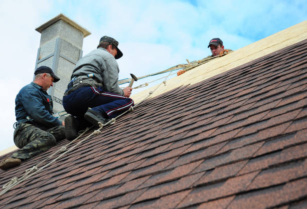 Best Flat Roof Repair Services  in Mount Olive, MS