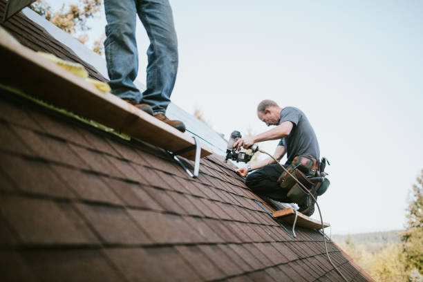 Best Roof Repair Services  in Mount Olive, MS