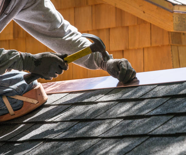 Best Gutter Installation and Roofing  in Mount Olive, MS